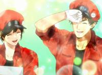 《工作细胞BLACK》动画化，生于糟糕的时代，在绝望中积极的生活