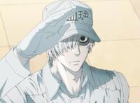 《工作细胞BLACK》动画化，生于糟糕的时代，在绝望中积极的生活