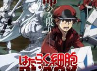 工作细胞black：女主白细胞霸气登场，一起感受社畜大叔的症状~