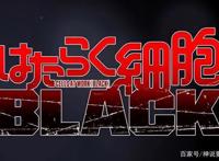 工作细胞Black动画化确定锁定2021年1月新番白血球御姐来袭