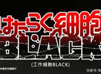 新番推荐：工作细胞Black