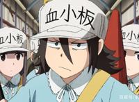 新番推荐：工作细胞Black