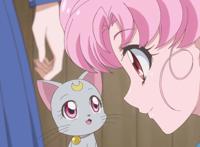 同样是20多年后的新版，魔卡少女樱一致好评，美少女却被吐槽坏了