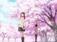 今日娱乐：Netflix《圣斗士星矢》明年播出，《黑豹》预售破纪录