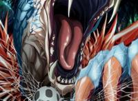 2021年一月新番即将更新，最受期待的还是蜘蛛和史莱姆这两动物