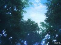 《圣女的魔力是万能的》1话：异世界两位圣女谁真谁假？