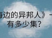 《海边的异邦人》一共有多少集？