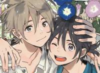 《海边的异邦人》一共有多少集？