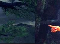 完美世界：露大长腿的魔女来了，腿长腰细颜值高比月婵还让人心动