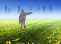 奇蛋物语强烈推荐