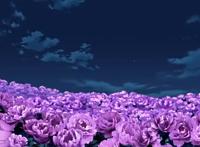 犬夜叉：花皇说的话，不仅仅是一件事的结束，更是一个开始