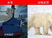 虹猫蓝兔七侠传角色的动物原型，大奔是北极熊，跳跳和孙悟空一样
