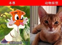 虹猫蓝兔七侠传角色的动物原型，大奔是北极熊，跳跳和孙悟空一样