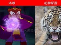 虹猫蓝兔七侠传角色的动物原型，大奔是北极熊，跳跳和孙悟空一样