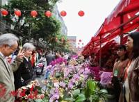 广州花市开锣啦！亮点太太太太多了！这些护花大咖说……