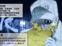 《摇曳露营》和《工作细胞》入围白玉兰奖，网友表示没有番外差评