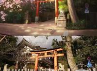 摇曳露营八千万！由动画所带来的现实意义可不能小看哦