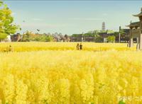 放下过去，重新去爱？《飞奔去月球》笑泪交织与治愈系的动画电影