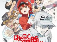 死神公开重大情报，六部人气动画推出续作｜动漫大事件