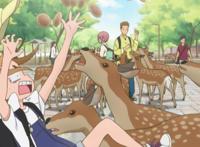 动画电影《寻找见习魔女》最新艺图公开11.13日上映