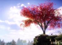 秦时明月沧海横流｜晓之以梦，道家天宗晓梦的成长之路不是拖剧情