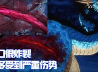 海贼王1018集：3个看点！CP0阴谋曝光，凯多的人兽形态登场