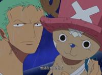 《海贼王》里最有“动物缘”的人是谁？当然是三刀流绿藻头了！