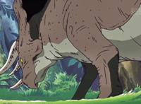 《海贼王》里最有“动物缘”的人是谁？当然是三刀流绿藻头了！