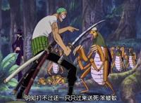 《海贼王》里最有“动物缘”的人是谁？当然是三刀流绿藻头了！