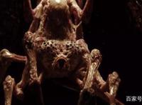 Netflix神剧《爱，死亡和机器人》，教你在哪可以看