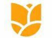 Netflix的“亚洲模式”