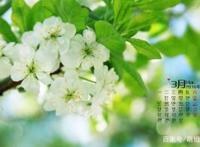 3月份值得期待的电影：《绿皮书》已上映，《惊奇队长》定档3月8