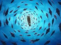 国内首部剪纸美术片《江海渔童》导演：用直击人心找回美术片的初衷