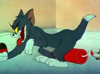 《猫和老鼠》汤姆杰瑞哥俩，斗了将近90年，让我们学到了五个知识