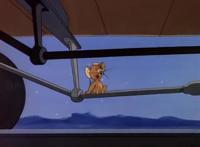 猫和老鼠：“最深奥”的一集，小时候“笑岔气”，工作后才看懂