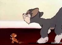 什么？猫和老鼠竟然有这么多个版本！网友：印象里只记得三种