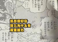 海贼王1045话，路飞的尼卡形态拥有“无限体力”，代价是透支生命