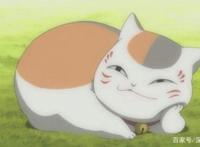 《夏目友人帐》上映，扒一扒“斑”、哆啦A梦、龙猫背后的声优们