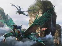 排片极低的《金龟子》上映两天821万票房，刘纯燕阿姨影响力不俗