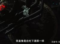 这就是转生成为蜘蛛的快乐生活吗？貌似很容易丢掉小命啊