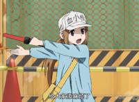 一周播三集，工作细胞Black再次迎来两连更，这次是纯粹的科普