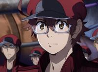 一周播三集，工作细胞Black再次迎来两连更，这次是纯粹的科普