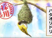 脑洞大开！抱歉，这部神作我推荐晚了