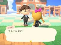 「天地创造设计部」在「动物之森」开了加拉帕戈斯岛~