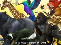 天地创造设计部：和工作细胞一样，寓教于乐的动画，趣味性十足