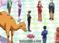 天地创造设计部完结撒花，这个科普番明明超有趣，却过分冷门