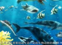 新番点评：天地创造设计部