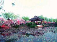 中国民间故事儿童故事一幅僮锦