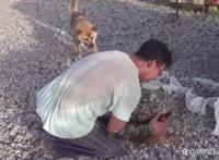 男子收养了一只流浪狗，狗狗突发疾病，男子卖了三头牛给它治病！