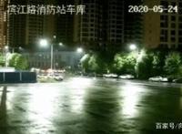 流浪狗妈妈带着宝宝去消防队，离开时忍痛“离开”三只小奶狗！